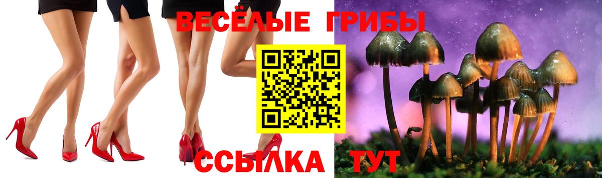 Выборг  Псилоцибиновые грибы Psilocybe  Вход с VPN  Псилоцибиновые грибы Psilocybe 